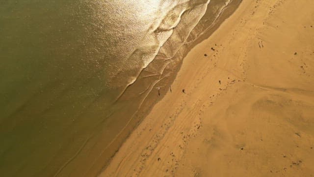 잔잔한 파도가 있는 황금빛 해변