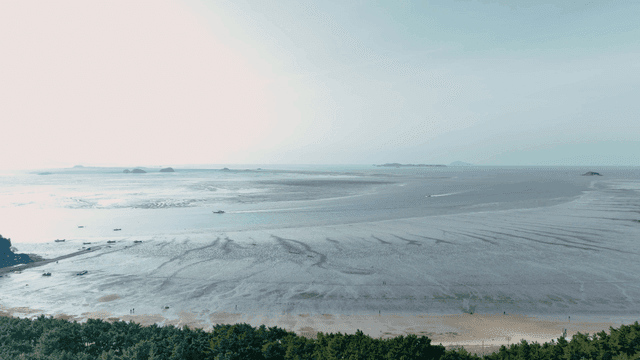 Tranquil coastal mudflat landscape with wide beach