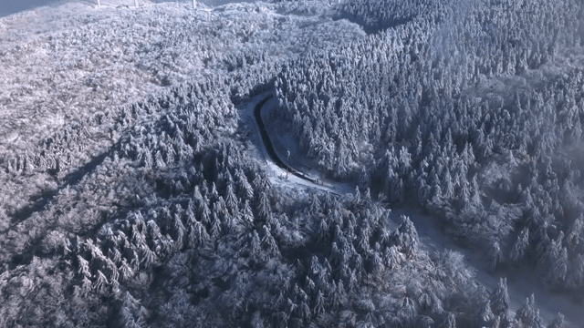 구불구불한 도로가 있는 눈 덮인 숲