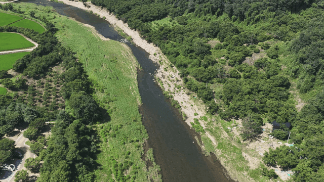 River flowing through green forest