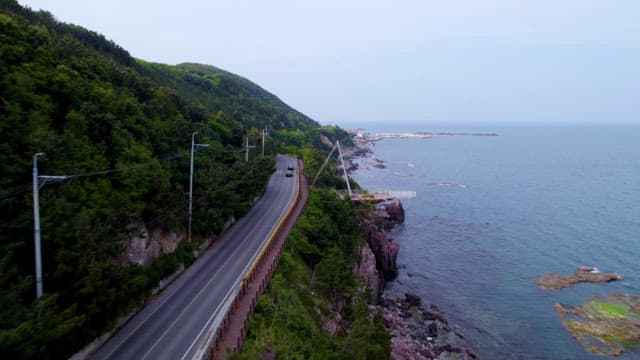 Scenic Coastal Road by the Lush Hillside