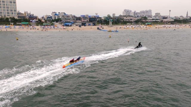 해변에서 수상 스포츠를 즐기는 사람들