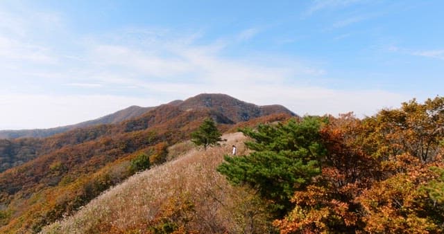 Scenic View of Autumn Mountains and Trail