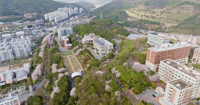 View of a campus with cherry blossoms