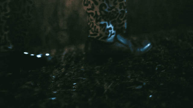 Old student walking along forest path at night