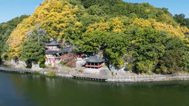 울창한 숲에 위치한 전통 한옥