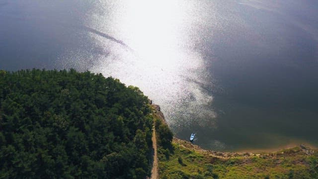 푸른 숲이 있는 깨끗한 강