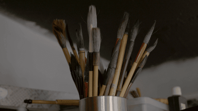 Collection of various brushes