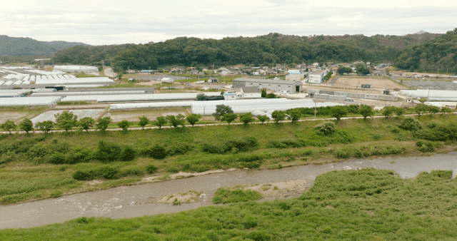 농지와 비닐하우스를 흐르는 강