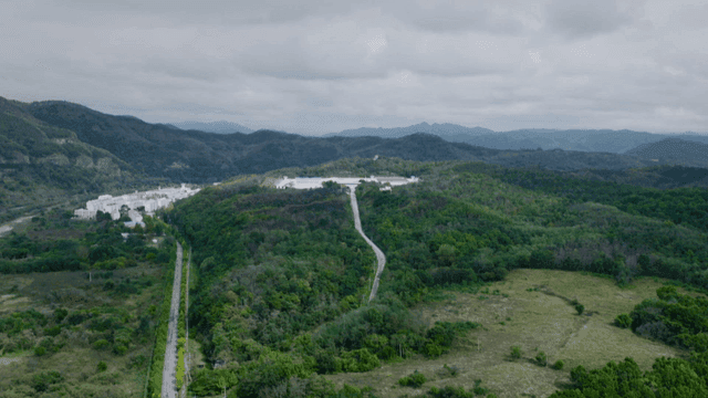 Aerial view of a lush green landscape