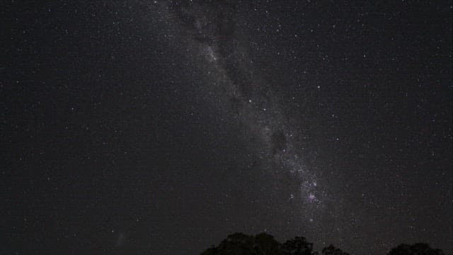 Night sky filled with stars and the Milky Way