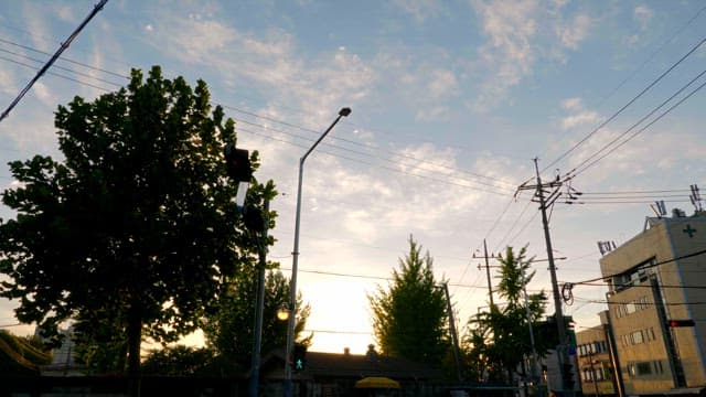 Sunset between trees and buildings