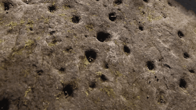 Rock surface with small holes and moss