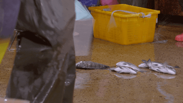 Fish being put into baskets on fish market floor
