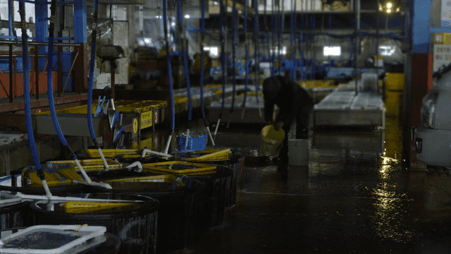 Early morning scene at seafood wholesale market