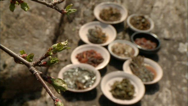 Variety of Korean side dishes made with vegetable