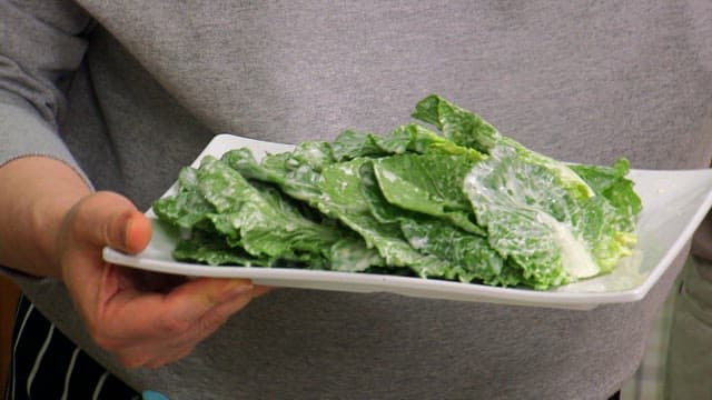 먹음직스러운 봄동 샐러드를 접시에 준비하는 사람