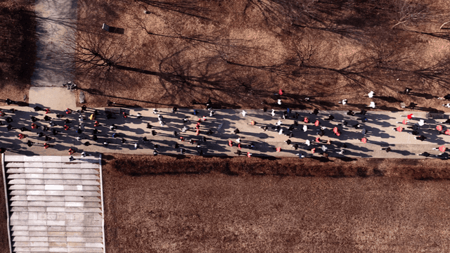 People running in park on clear day