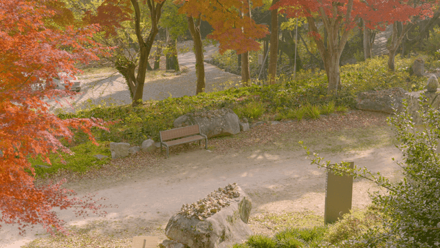 Peaceful park with autumn foliage