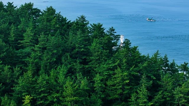 숲 사이로 드러나는 하얀 등대와 푸른 바다