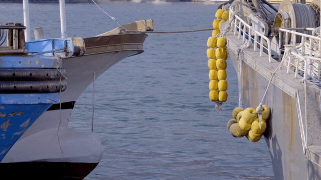 노란 부표가 있는 두 정박의 모습