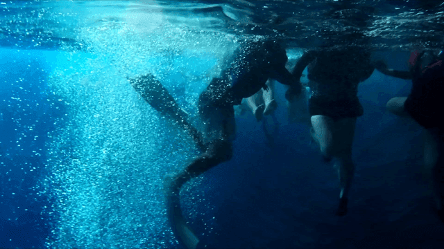 People swimming with flippers