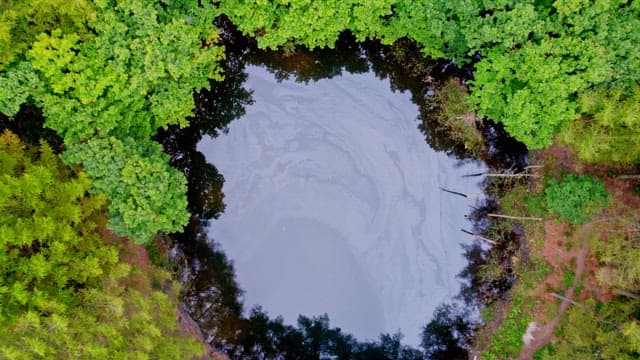 Small Dorongi Pond surrounded by dense forest