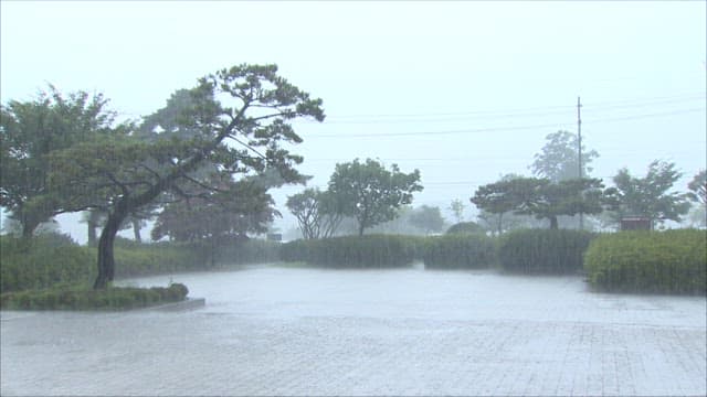 Rainy Day at a Tranquil Outdoor Location