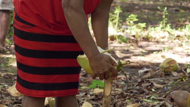 Person peeling a coconut outdoors