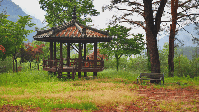 비 오는 날 나무로 둘러싸인 정자