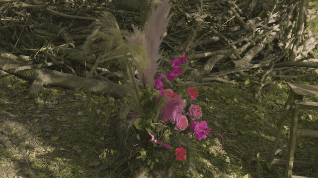 Colorful flowers in forest