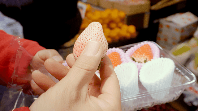 흰 딸기를 들고 있는 사람