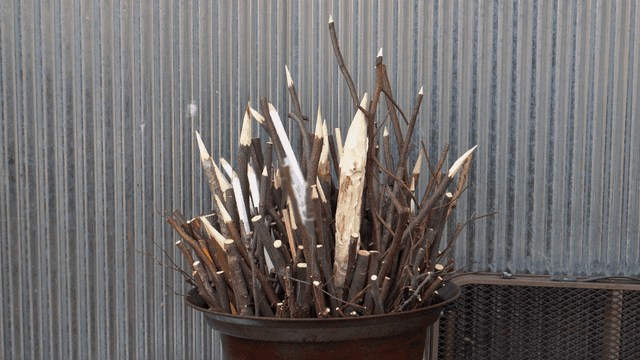 뾰족하게 깎인 나무 조각품들이 담긴 금속 바구니