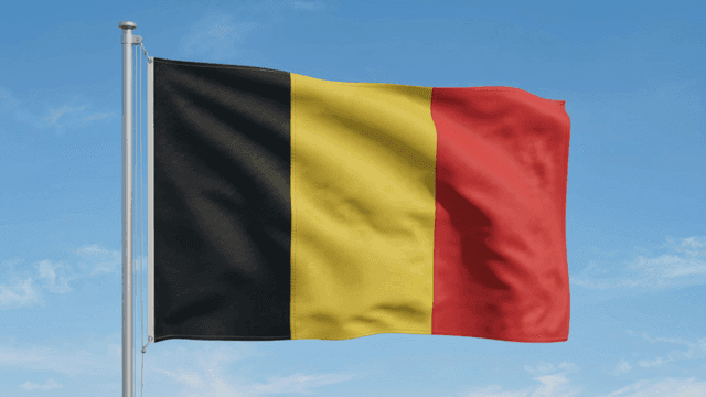 Belgian flag fluttering under clear sky