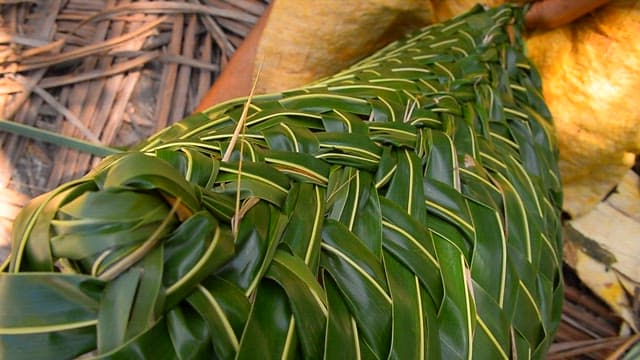 Person weaving palm leaves in a calm outdoor setting