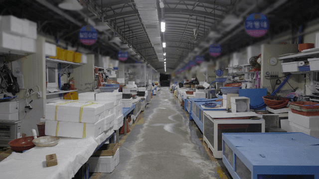 Empty fish market stall with boxes and table