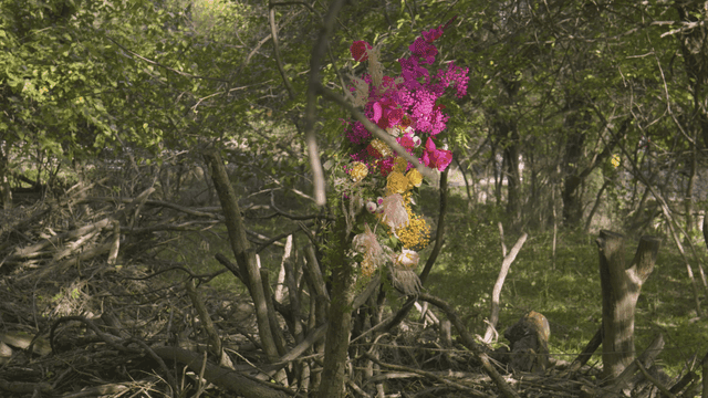 Various colorful flowers blooming on trees