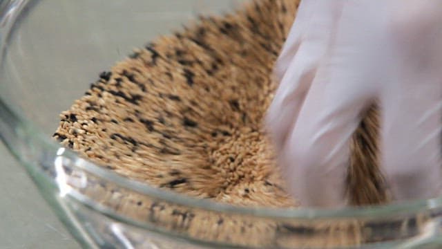 Mixing sesame seeds in a glass bowl