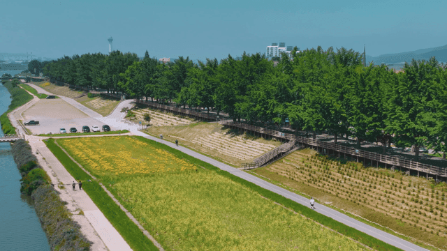 Riverside scenery with walking path