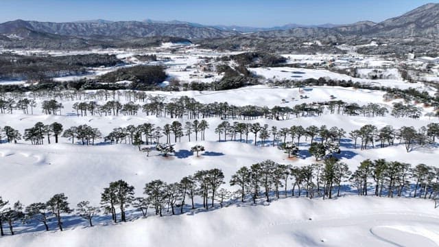 Snow-covered Landscape with Mountains and Trees