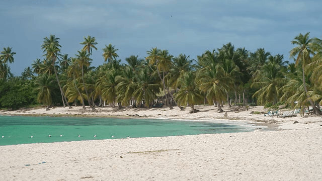 Tropical beach with palm trees and clear water
