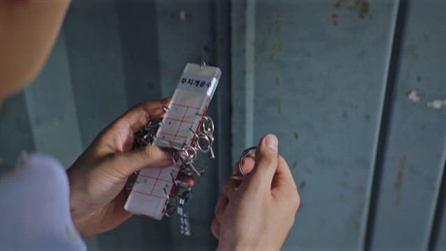 Person Opening a Door with a Key and Entering