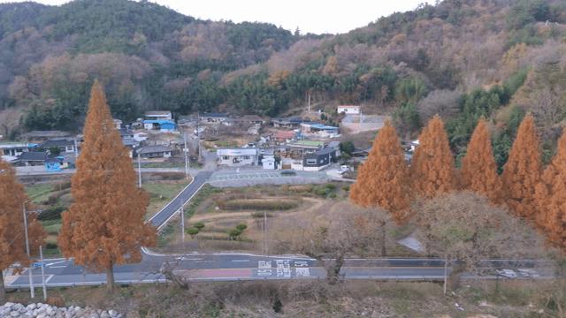 가을 나무로 둘러싸인 시골 마을
