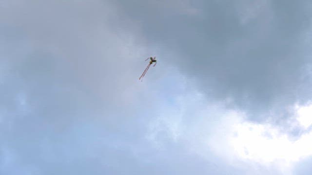 Colorful kite flying high in the cloudy sky