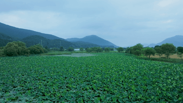 산으로 둘러싸인 넓은 연못