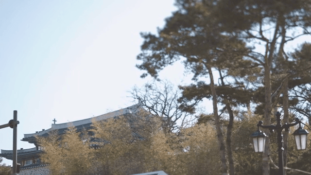 바람에 흔들리는 나무와 옆에 있는 한옥