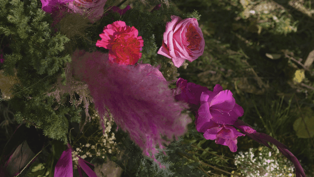 Pink flowers blooming in a garden