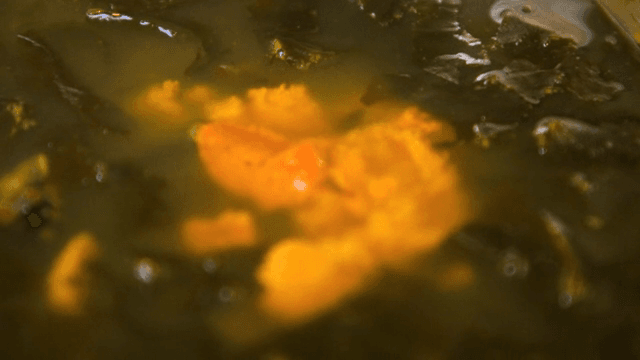 성게가 들어간 미역국