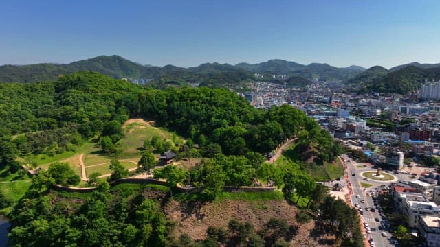도시를 배경으로 한 푸른 숲