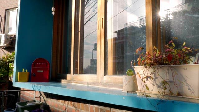 식물과 우체통이 있는 창문